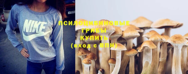 бошки Новозыбков