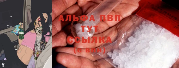 трава Новодвинск