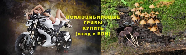 ECSTASY Новокубанск