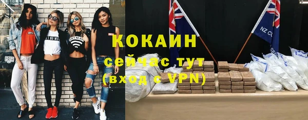 трава Новодвинск