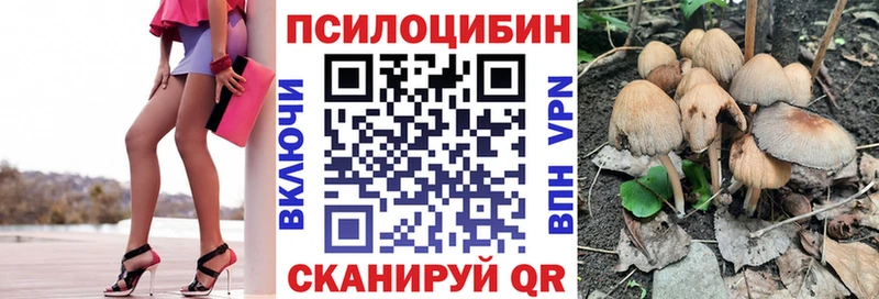 маркетплейс официальный сайт  где продают наркотики  Ржев  Галлюциногенные грибы Magic Shrooms  кракен как зайти 