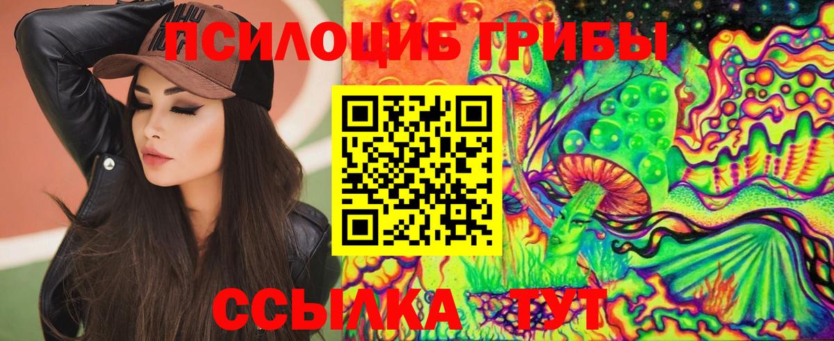 Псилоцибиновые грибы Psilocybine cubensis  Псилоцибиновые грибы Psilocybine cubensis  купить   Ржев  Вход с VPN 