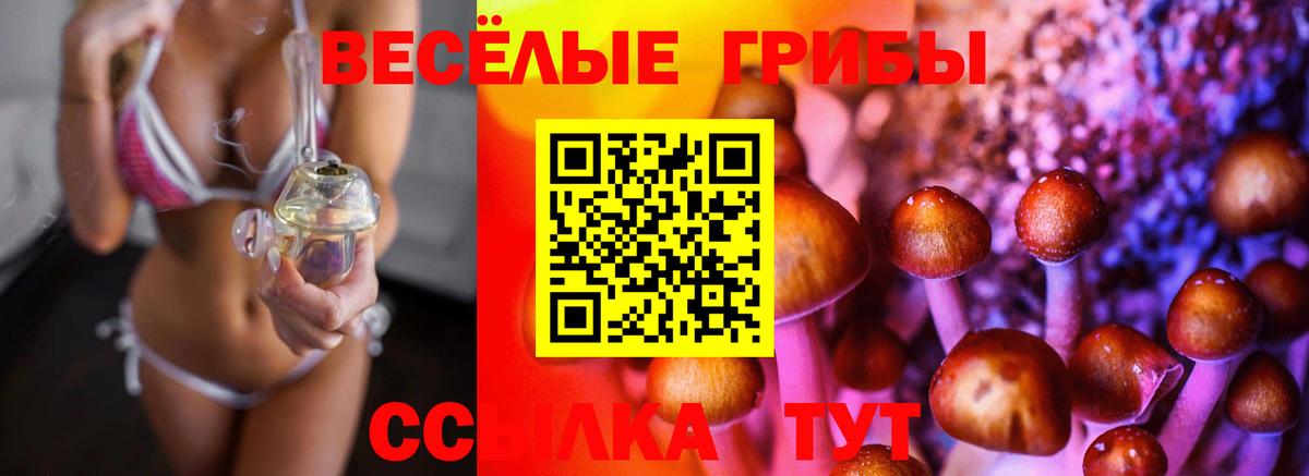 Псилоцибиновые грибы Cubensis Ржев